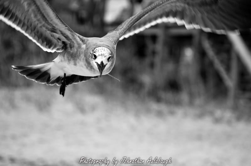 20111016_2494asSmartObject-1.jpg